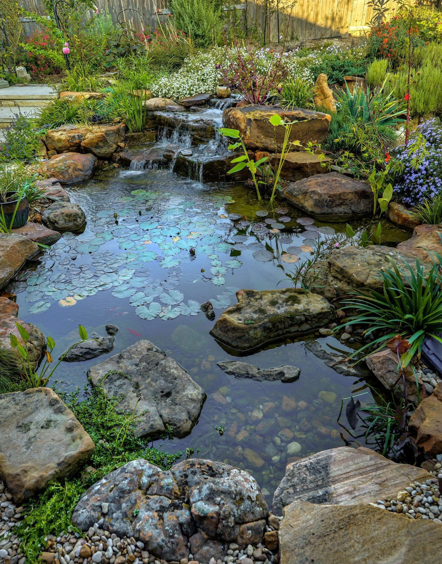 A stone-framed ecosystem pond with aquatic planting