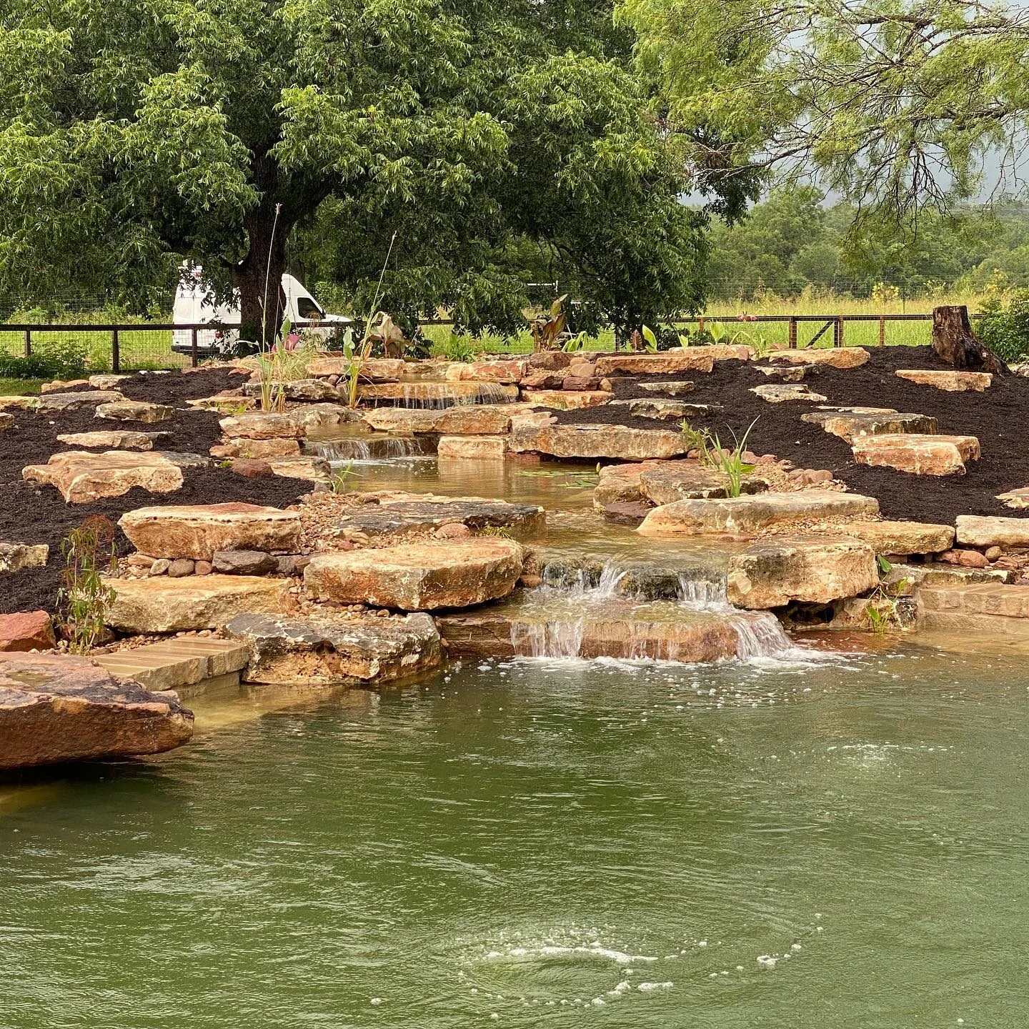 The finished 30 by 60 foot swim pond with waterfall and planting ledges